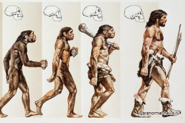 Загадка скелета Река или мог ли современный человек жить на Земле более миллиона лет назад 
